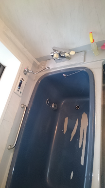 Before画像