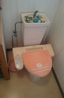 Before画像