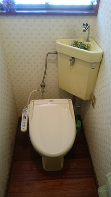 Before画像