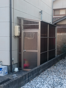After画像