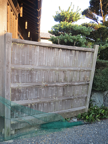 Before画像