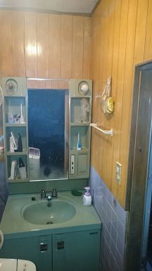 Before画像