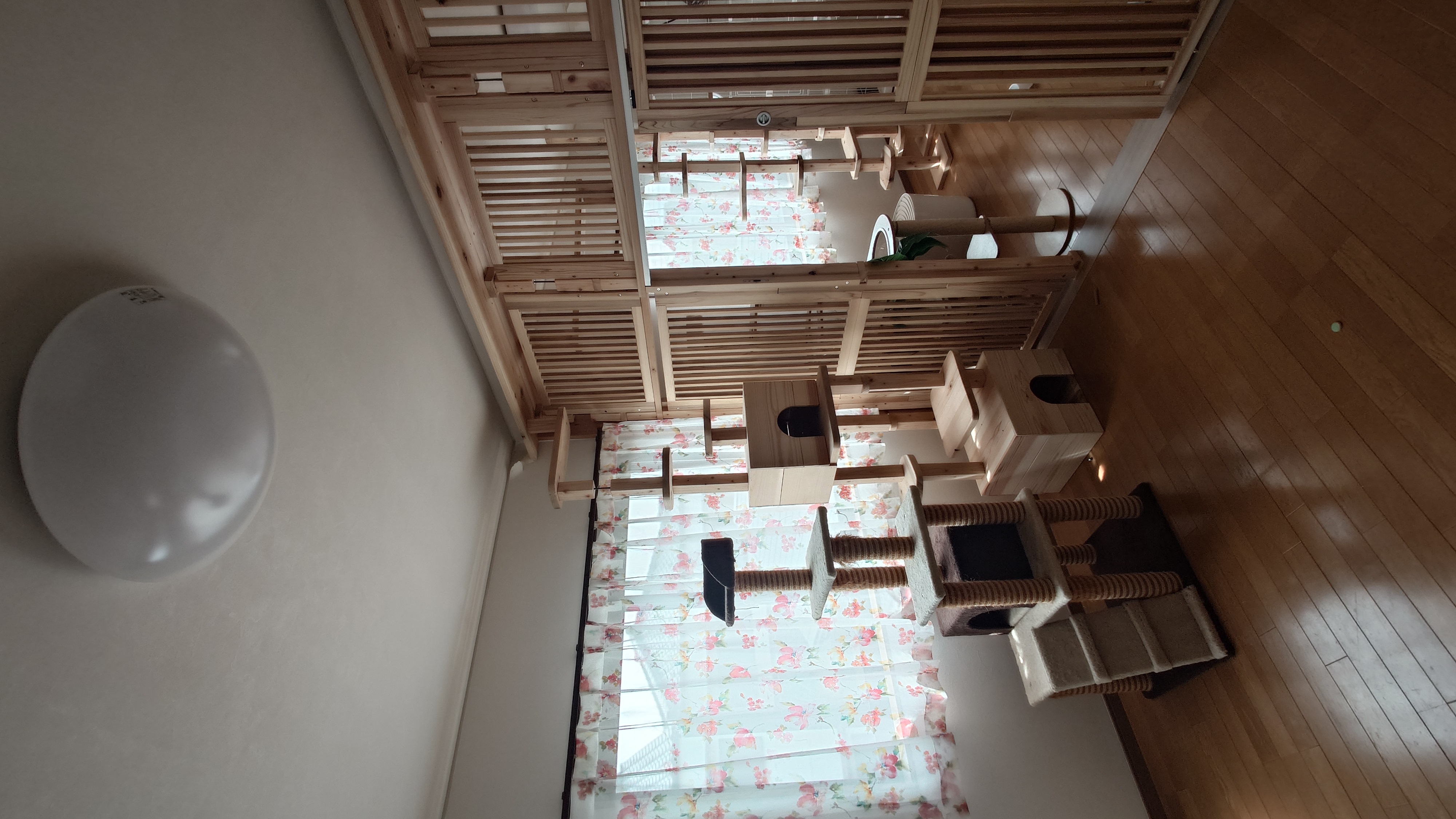 国産杉・ひのきでつくる、木のぬくもりあふれるキャットルーム アイキャッチ画像